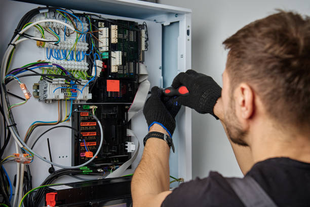 Licensed Electrical Panel Upgrade service in Bellevue, MI - No Joke electrician